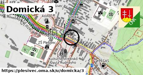 Domická 3, Plešivec