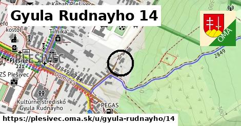 Gyula Rudnayho 14, Plešivec