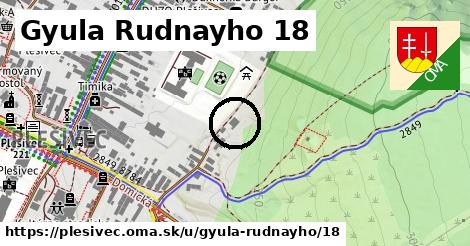 Gyula Rudnayho 18, Plešivec