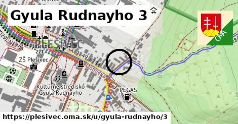 Gyula Rudnayho 3, Plešivec