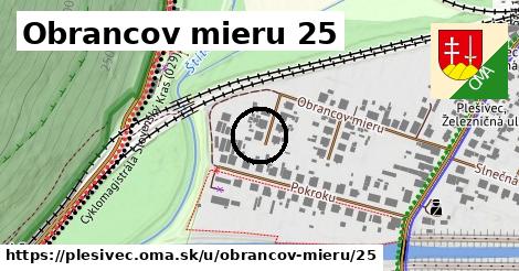 Obrancov mieru 25, Plešivec