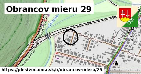 Obrancov mieru 29, Plešivec