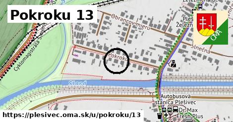 Pokroku 13, Plešivec