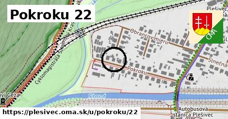 Pokroku 22, Plešivec