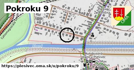 Pokroku 9, Plešivec