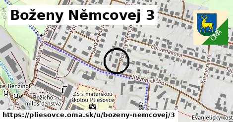 Boženy Němcovej 3, Pliešovce