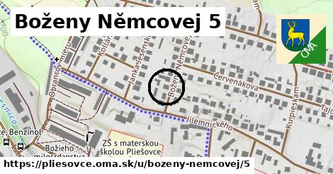 Boženy Němcovej 5, Pliešovce