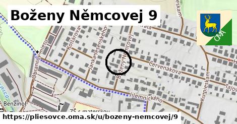 Boženy Němcovej 9, Pliešovce