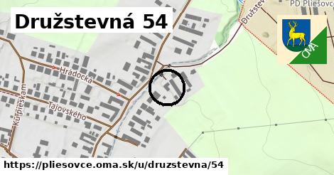 Družstevná 54, Pliešovce