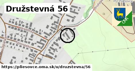 Družstevná 56, Pliešovce