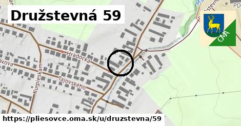 Družstevná 59, Pliešovce