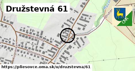 Družstevná 61, Pliešovce