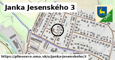 Janka Jesenského 3, Pliešovce