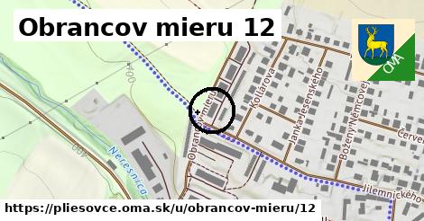 Obrancov mieru 12, Pliešovce