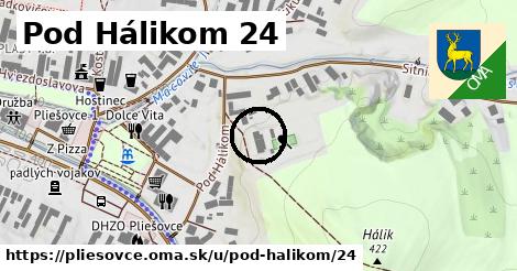 Pod Hálikom 24, Pliešovce