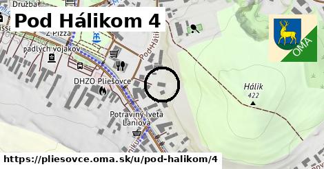 Pod Hálikom 4, Pliešovce