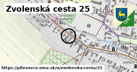 Zvolenská cesta 25, Pliešovce