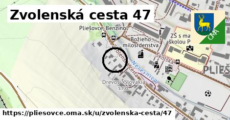 Zvolenská cesta 47, Pliešovce