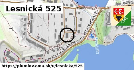 Lesnická 525, Plumlov