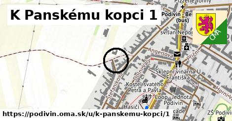 K Panskému kopci 1, Podivín