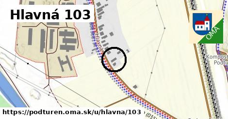 Hlavná 103, Podtureň