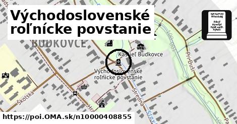 Východoslovenské roľnícke povstanie