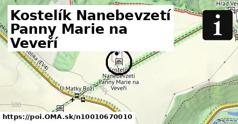 Kostelík Nanebevzetí Panny Marie na Veveří