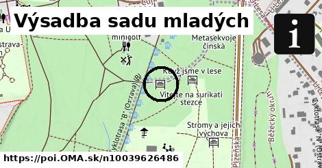 Výsadba sadu mladých