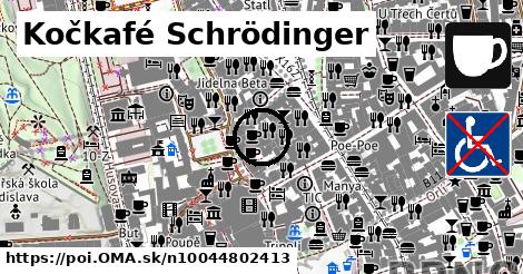 Kočkafé Schrödinger