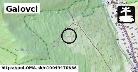 Galovci