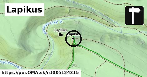 Lapikus