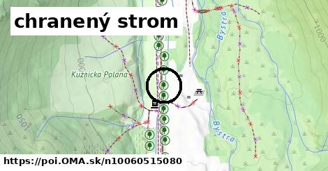 chranený strom