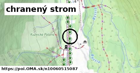 chranený strom