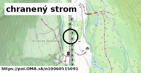 chranený strom