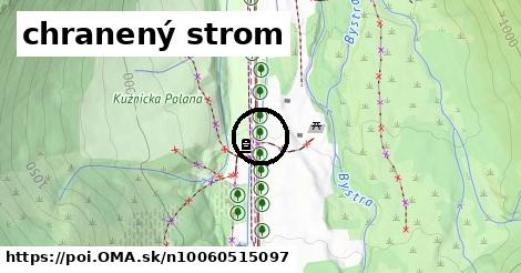 chranený strom