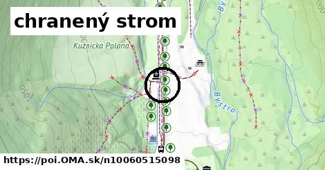 chranený strom