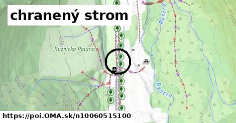 chranený strom