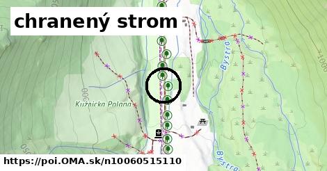 chranený strom