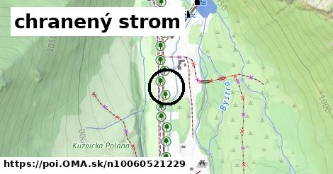 chranený strom