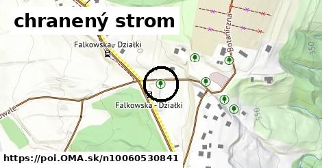 chranený strom