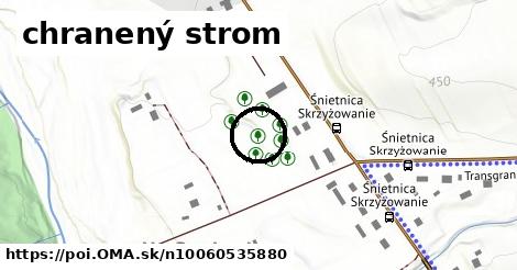 chranený strom