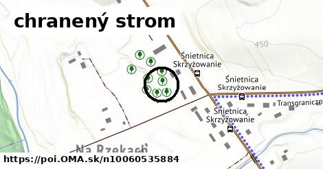 chranený strom