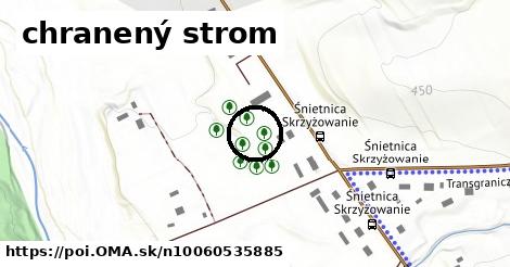 chranený strom