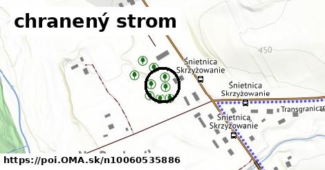 chranený strom