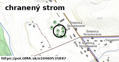 chranený strom