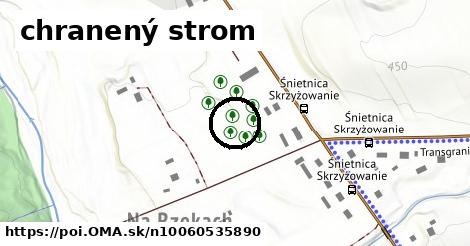 chranený strom