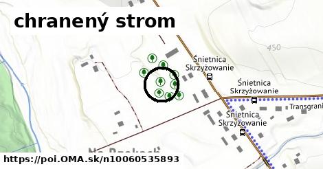 chranený strom