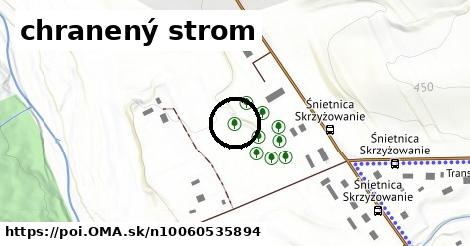 chranený strom