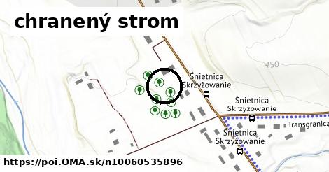 chranený strom