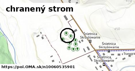 chranený strom